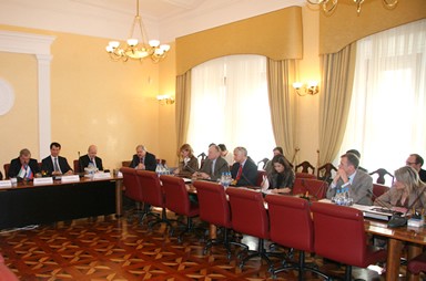 Meeting of the Russian Part of the Russian-Emirati Business Council