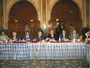 First Joint Session of the Russian-Arab Business Council