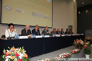 The IX JOINT MEETING OF THE RUSSIAN-ARAB BUSINESS COUNCIL