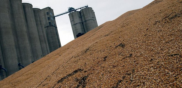 Russian grain export to Syria