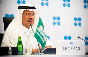 Saudi energy ministry to assist development of mega economic zone Neom